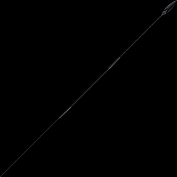 Never Unarmed Samburu Spear