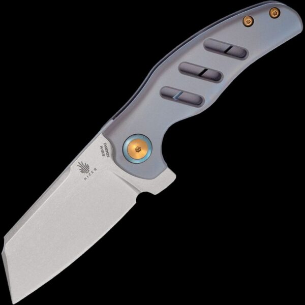 Kizer C01C Mini