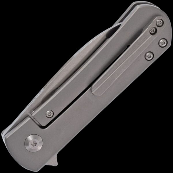 Kizer Yorkie - Image 2