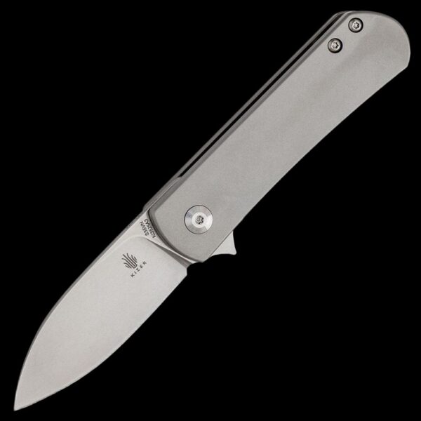 Kizer Yorkie