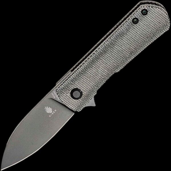 Kizer Yorkie