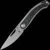 Kizer Apus