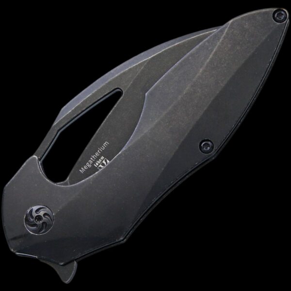 Kizer Megatherium - Image 2