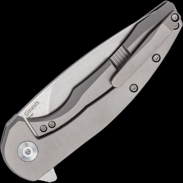 Kizer Ginesis - Image 2