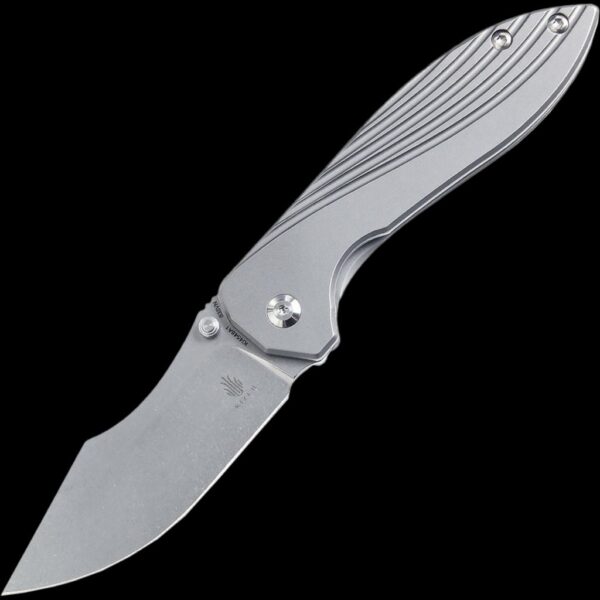 Kizer Pelican Mini
