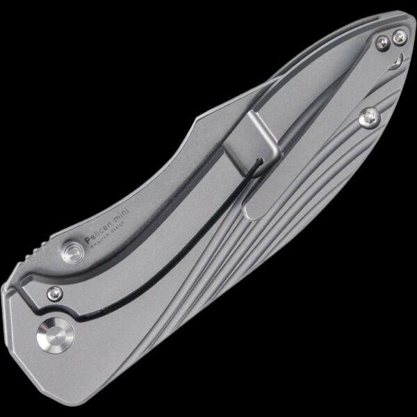 Kizer Pelican Mini - Image 2