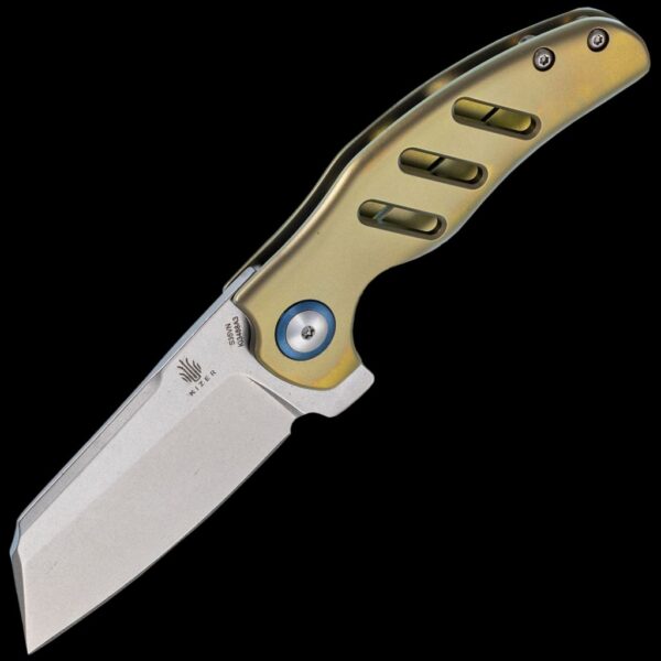Kizer C01C Mini
