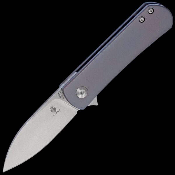 Kizer Yorkie