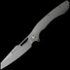 Kizer Raja