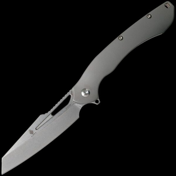 Kizer Raja