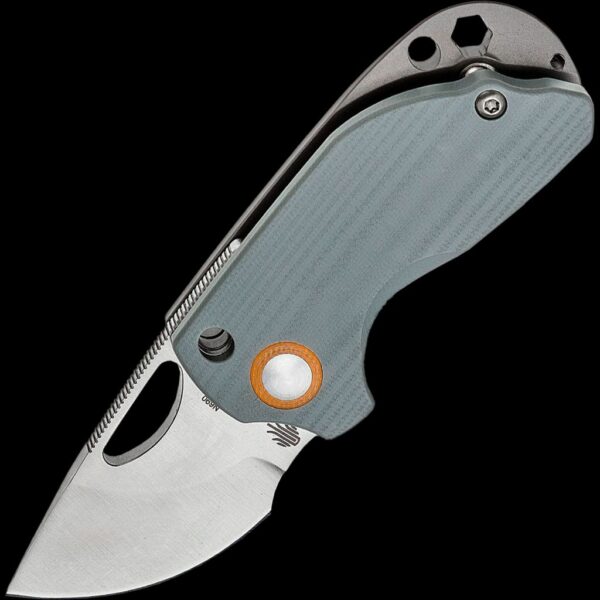 Kizer Catshark