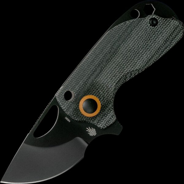 Kizer Catshark