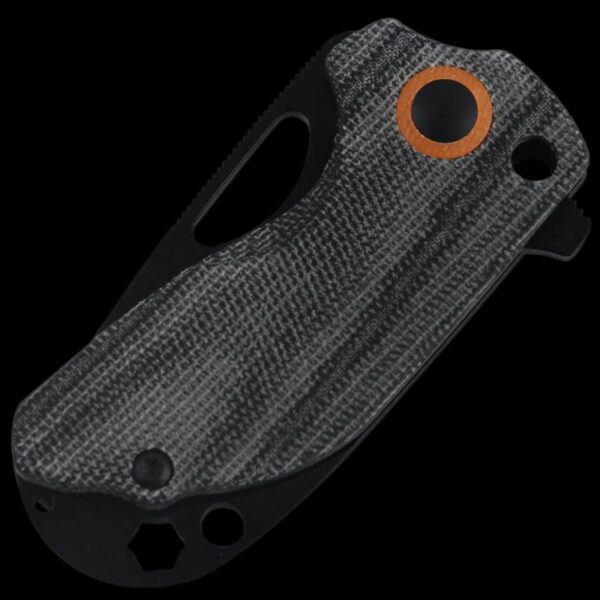 Kizer Catshark - Image 2