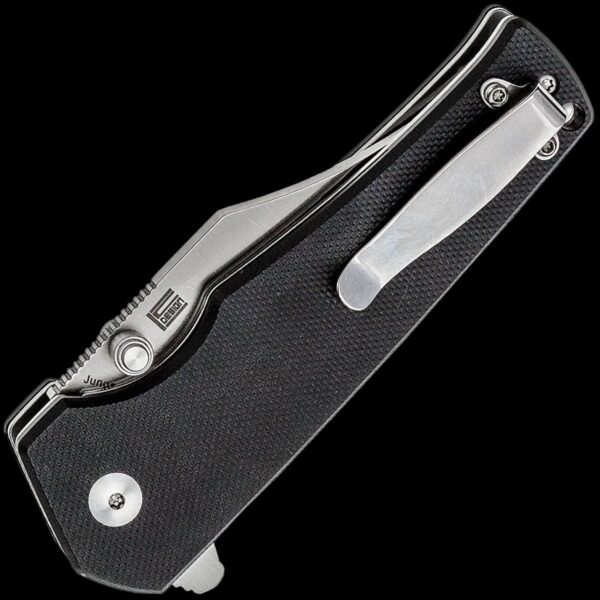 Kizer Junges - Image 2