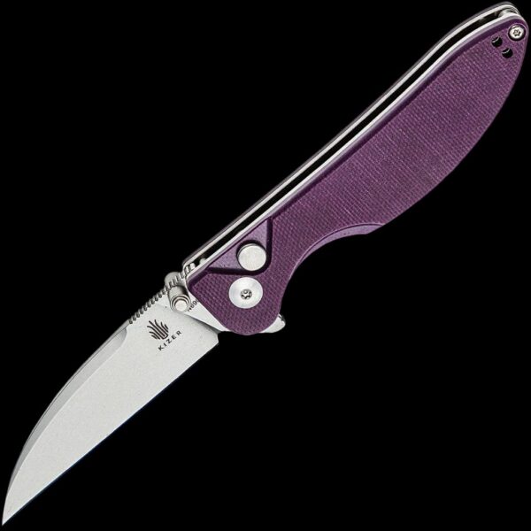 Kizer Sway Back