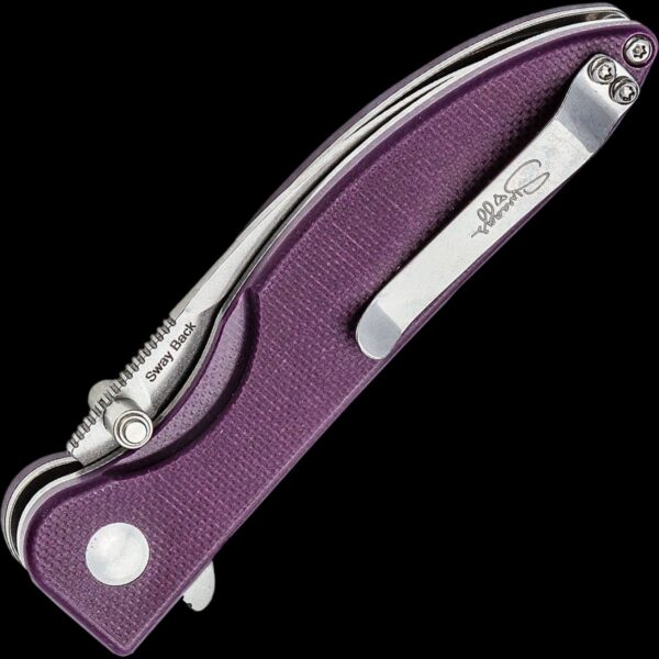 Kizer Sway Back - Image 2