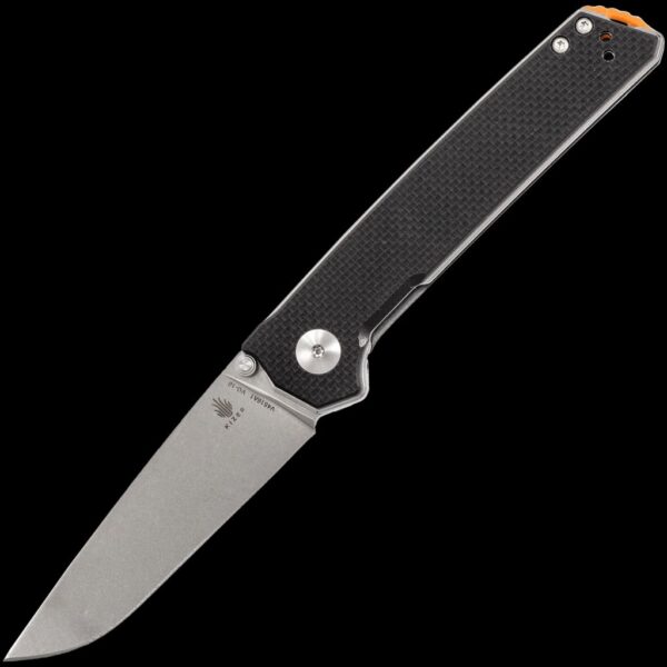 Kizer Domin
