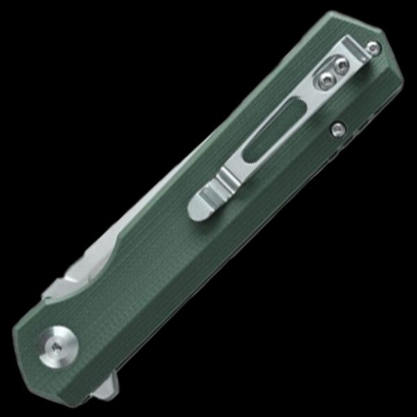 Ganzo Knife Firebird FH11-GB - Image 2