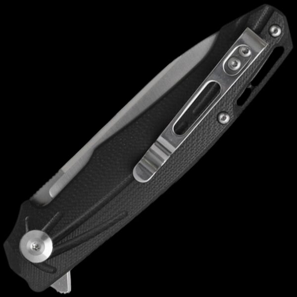 Ganzo Knife Firebird FH21-BK - Image 2