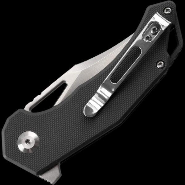 Ganzo Knife Firebird FH61-BK - Image 2
