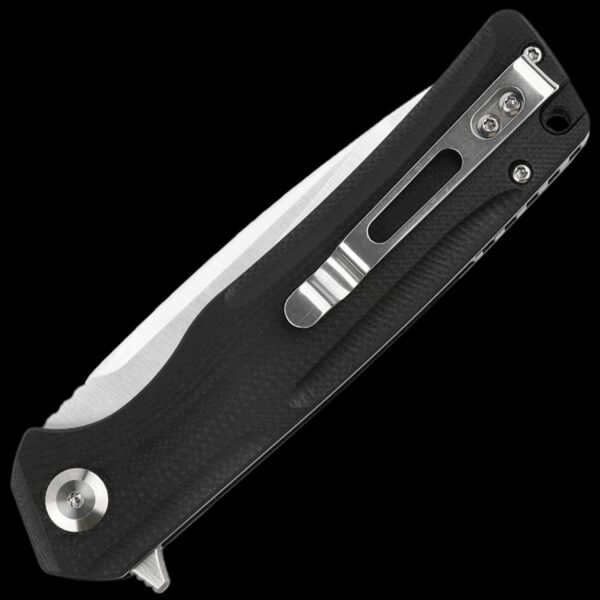 Ganzo Knife Firebird FH91-BK - Image 2