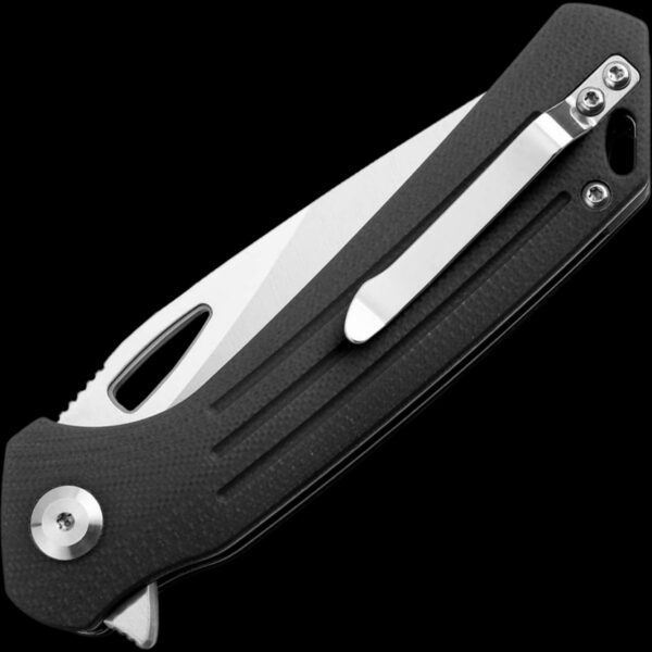 Ganzo Knife Firebird FH921-BK - Image 2