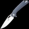 Ganzo Knife Firebird FH921-GY