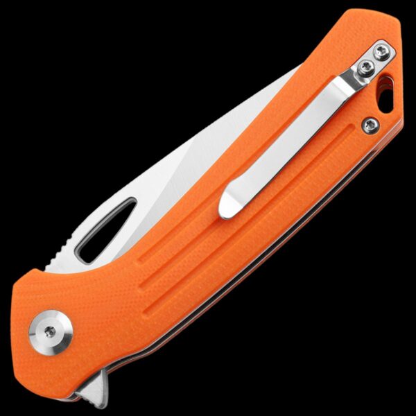 Ganzo Knife Firebird FH921-OR - Image 2