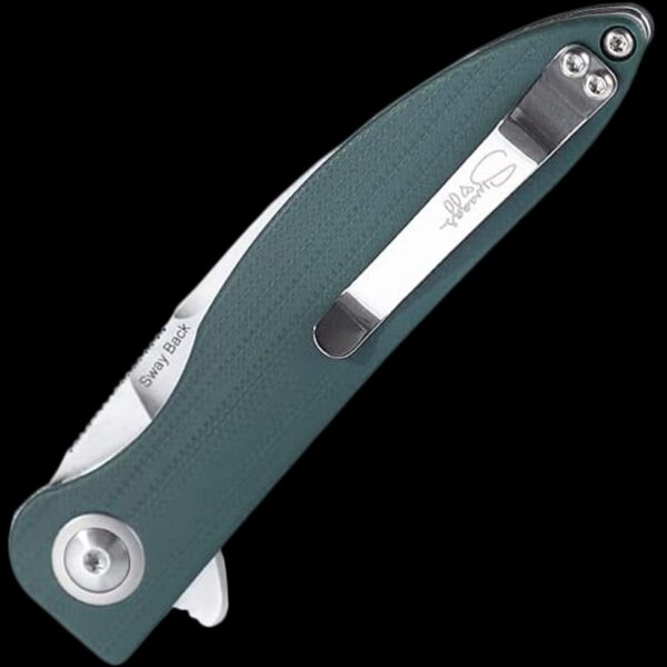Kizer Sway Back - Image 2