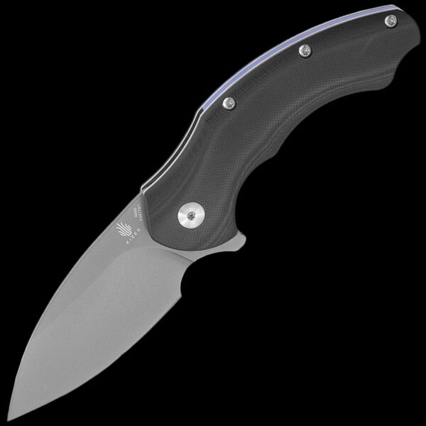 Kizer Roach