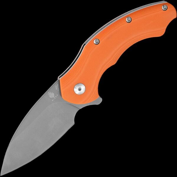 Kizer Roach