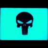 TEC Accessories Inc Embrite Morale Patch, Beacon, Punisher, Aqua