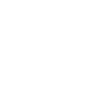TEC Accessories Inc
