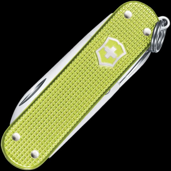Victorinox Classic SD Alox Colors, Lime Twist - Image 2