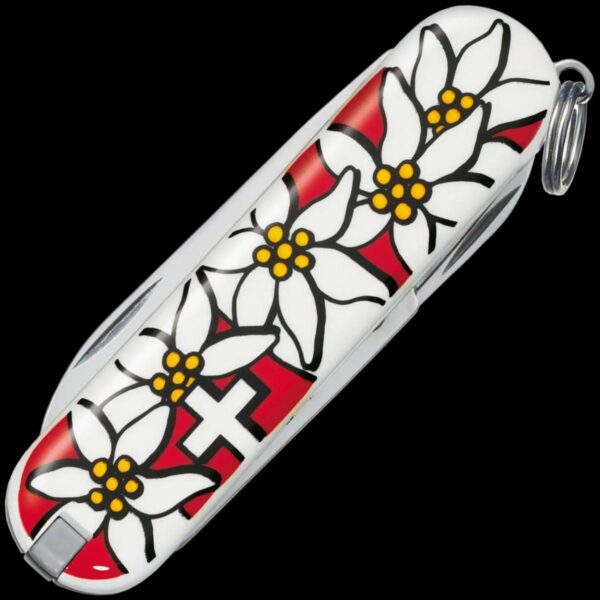 Victorinox Classic SD, 58 mm, Edelweiss - Image 2