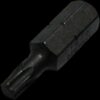Victorinox Bit for SwissTool, Torx 25