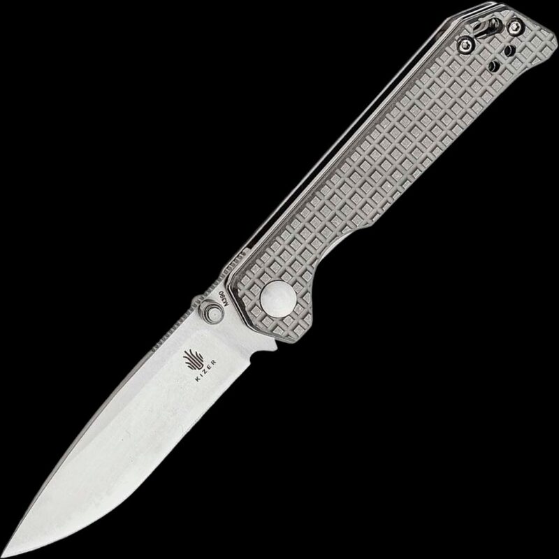 Kizer Begleiter Mini Blades.co.uk