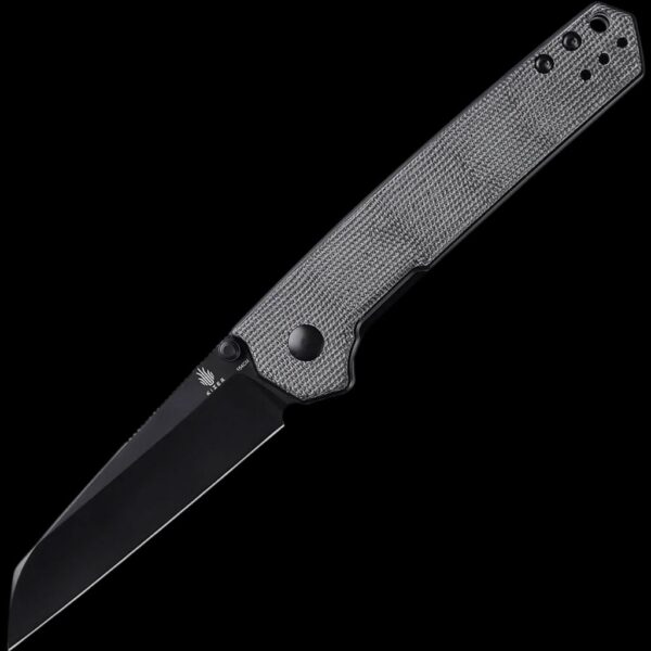 Kizer Domin