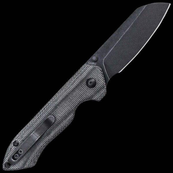 Kizer Guru - Image 2