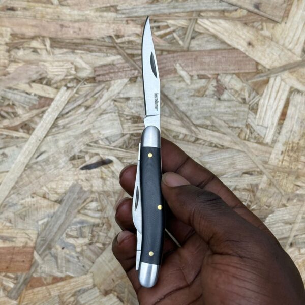 Kershaw Brandywine - Image 2