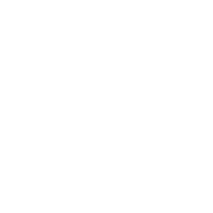 lionSTEEL