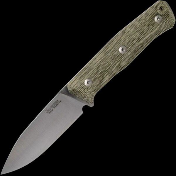 lionSTEEL B35 Canvas