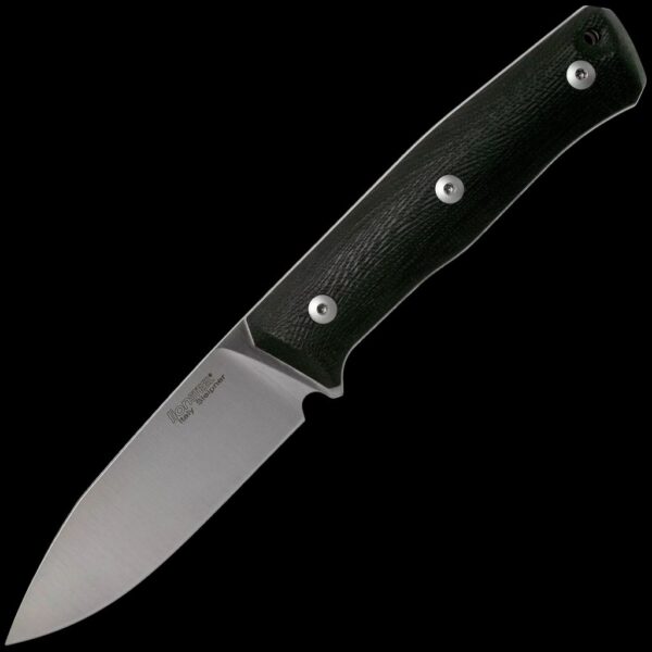 lionSTEEL B35 G10