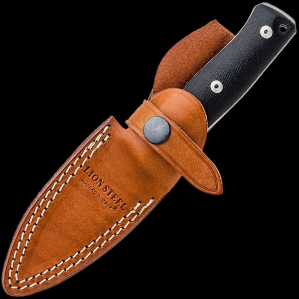 lionSTEEL B35 G10 - Image 2