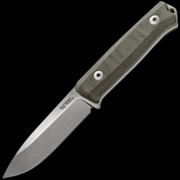 lionSTEEL B40 Canvas