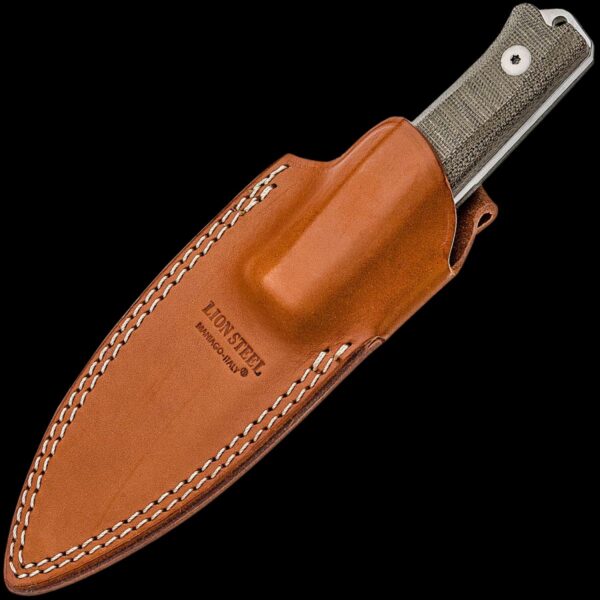 lionSTEEL B40 Canvas - Image 2