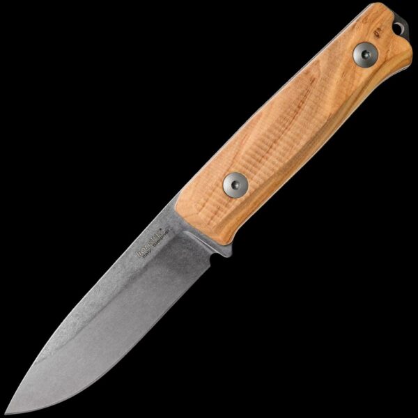 lionSTEEL B40 Olive Wood