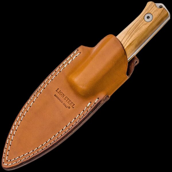 lionSTEEL B40 Olive Wood - Image 2