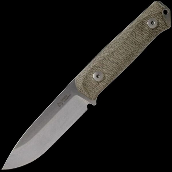 lionSTEEL B41 Canvas
