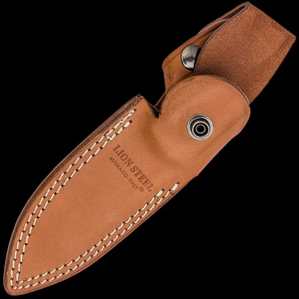 lionSTEEL B41 Canvas - Image 2